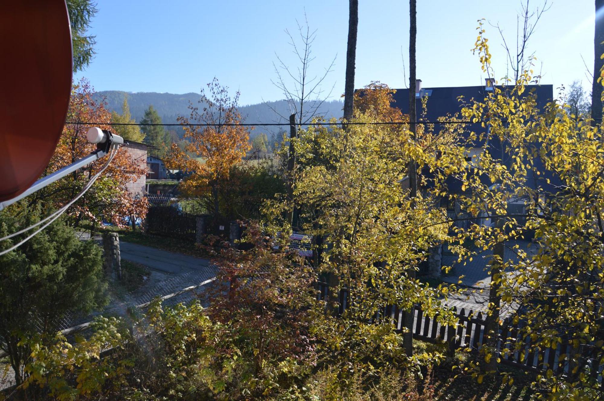Msc Apartments Honeymoon Zakopane Rum bild