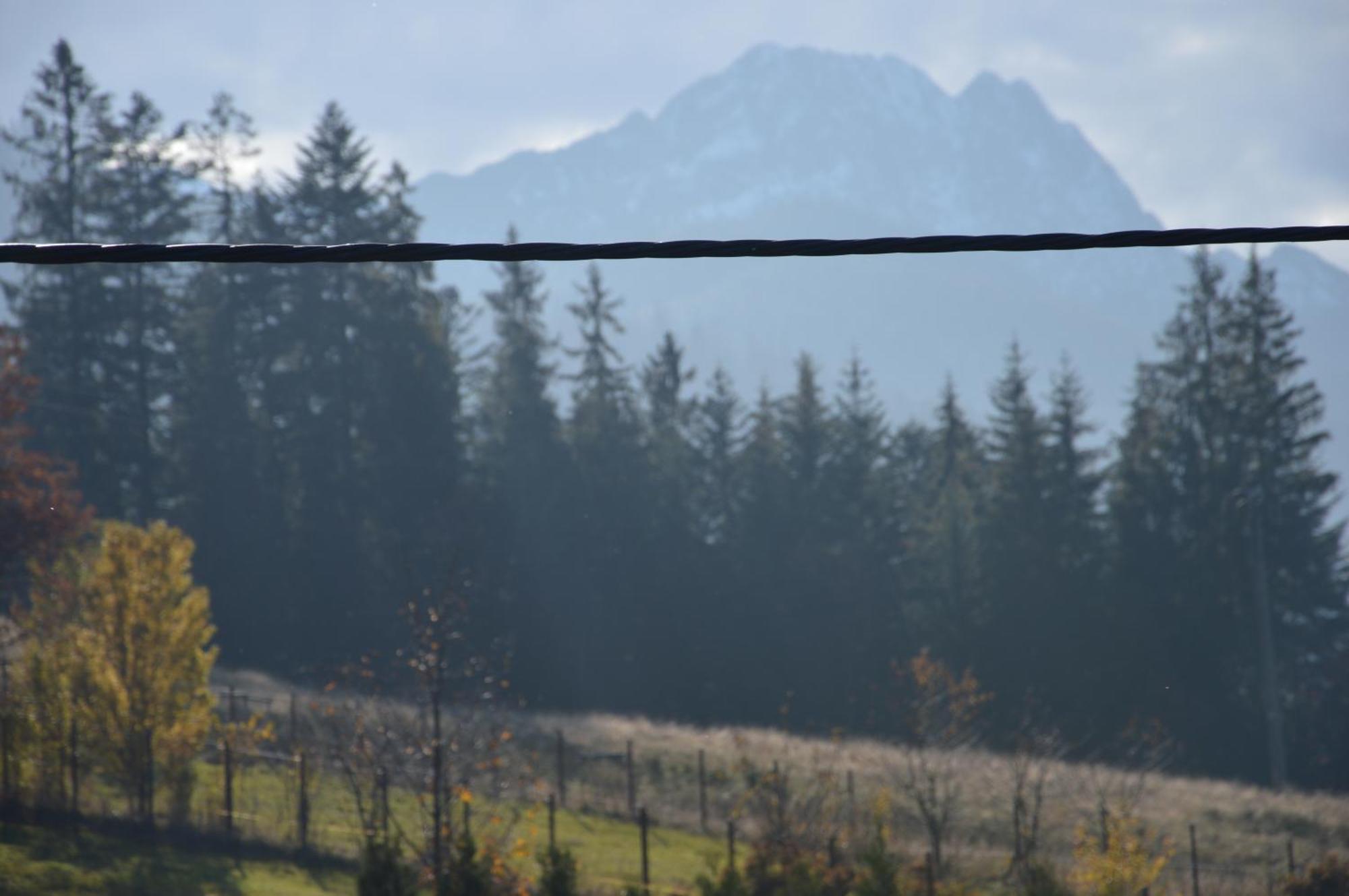 Msc Apartments Honeymoon Zakopane Rum bild