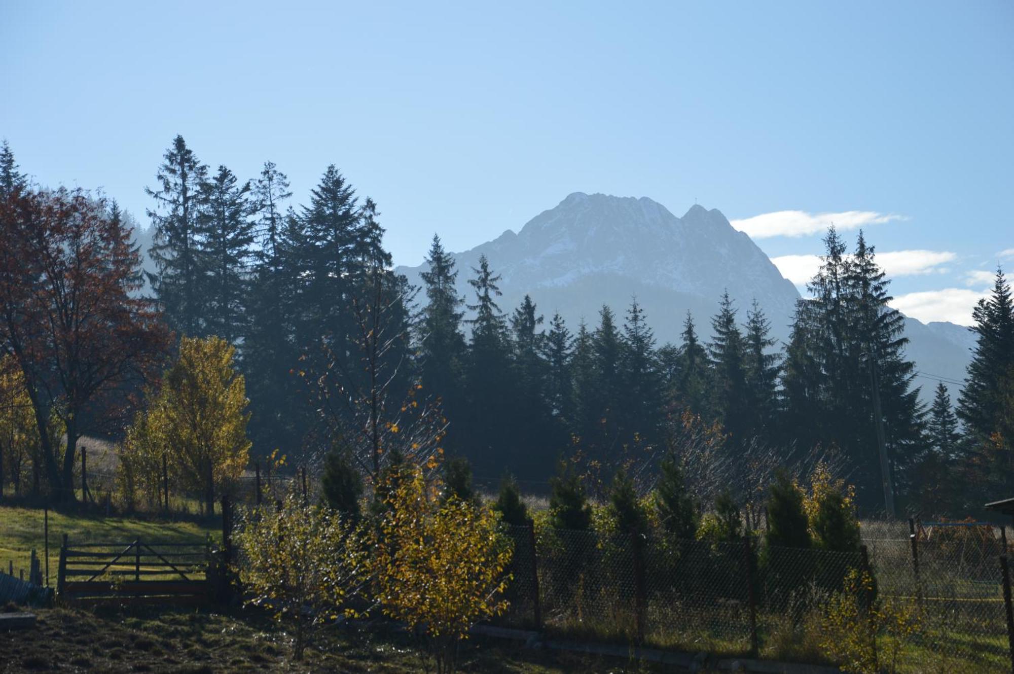 Msc Apartments Honeymoon Zakopane Rum bild