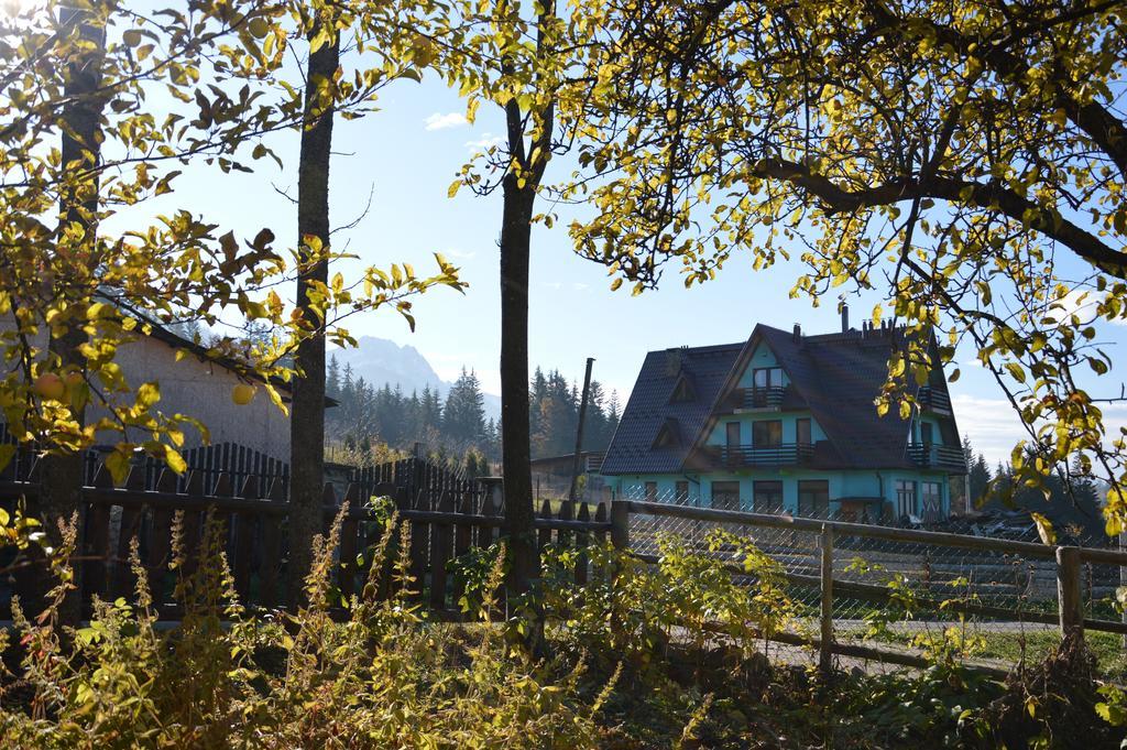 Msc Apartments Honeymoon Zakopane Rum bild