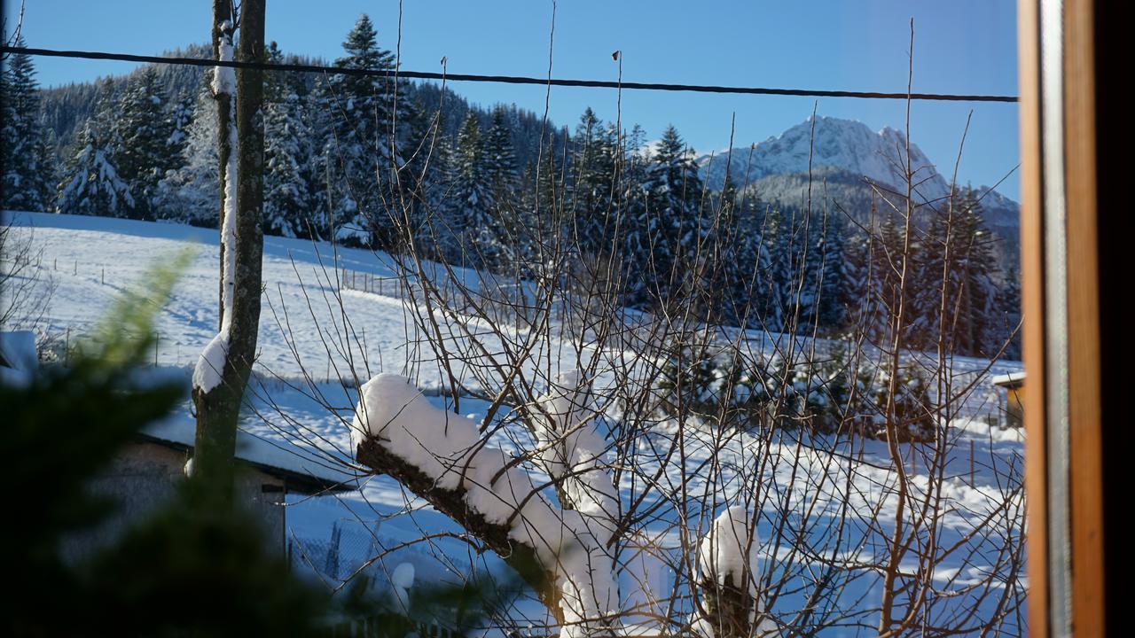 Msc Apartments Honeymoon Zakopane Exteriör bild
