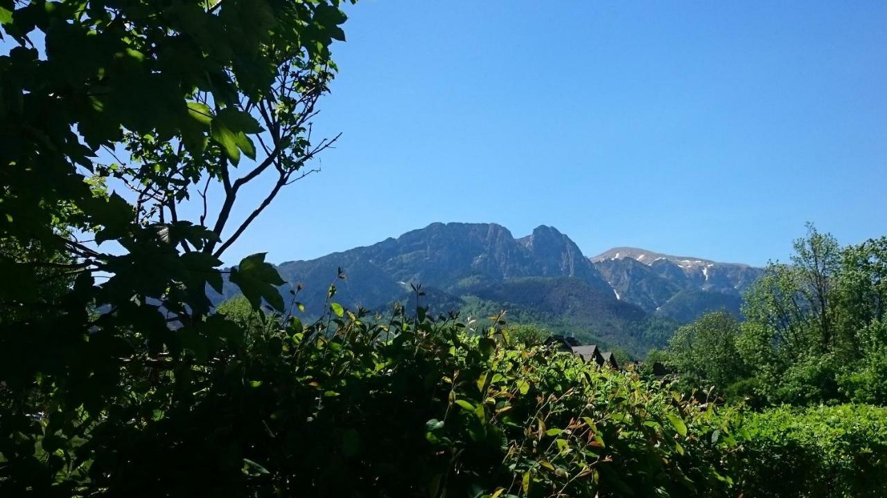 Msc Apartments Honeymoon Zakopane Exteriör bild